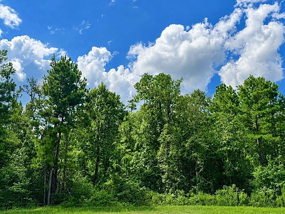 2nd image of 10545 Link Tree Ln Lot 39