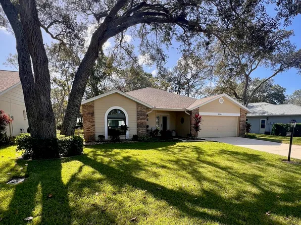 6581 Pine Meadows Dr, Spring Hill, FL 34606