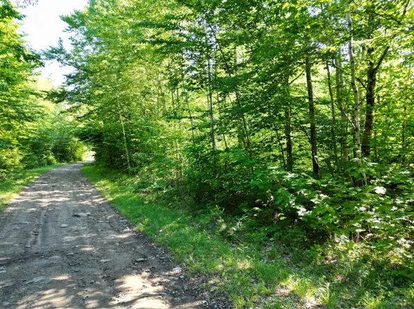 Lot 3 Bear Lane, Springfield, ME 04487