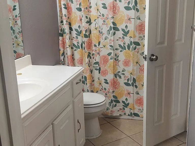 6906 Rambling Brook Ln — Photo 10