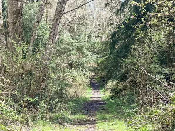 0 xxx Forest View Lane, Greenbank, WA 98253