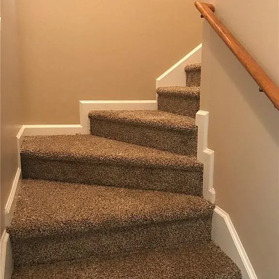 154 Carolina Cherry Ct — Photo 4