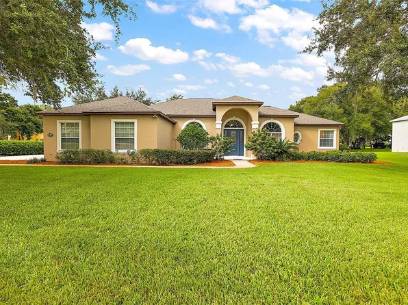 27425 Hammock View Ct, Yalaha, FL 34797