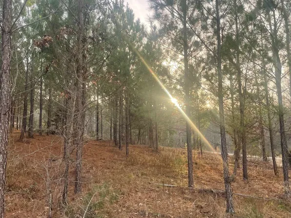 735 Gwinn Mill Rd, Pauline, SC 29374