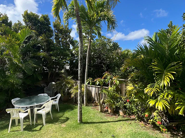 Backyard View