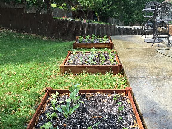 Organic Box Gardens