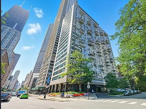 1000 N Lake Shore Dr #2204 Photo 1