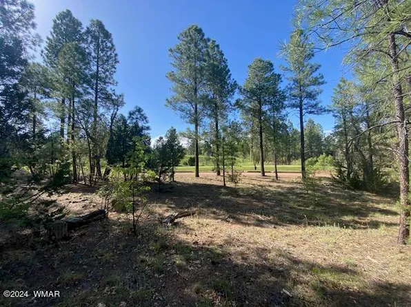 2051 S Trillium Ln, Show Low, AZ 85901