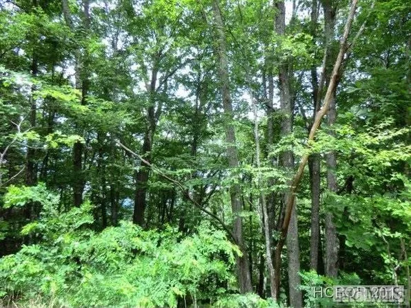 28 Wolf Knob Rd, Cullowhee, NC 28723
