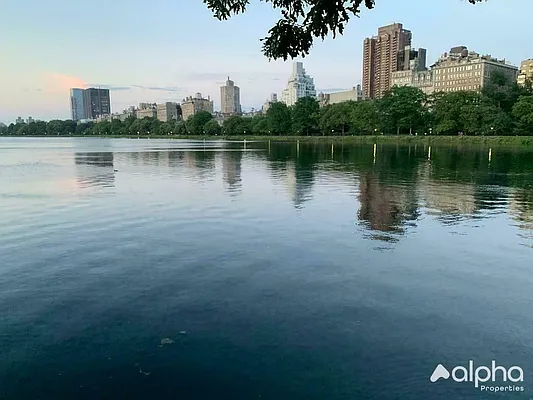 Rented by Alpha Properties NYC I LLC | media 3