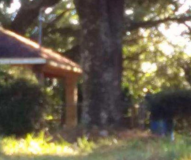 2nd image of 6601 Hunters Horn St