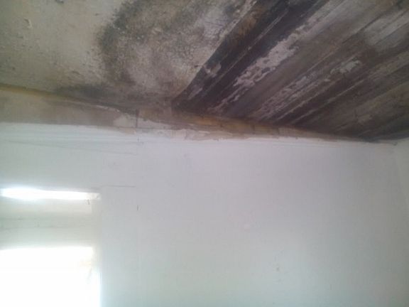 5th image of 1210 E Mallory Ave