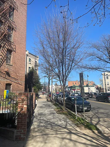 1818 Vernon St NW Photo 1