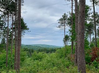 Pond Rd W, Owls head, NY 12969