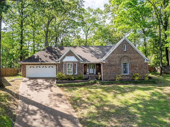 8678 Dena Cv, Cordova, TN 38018