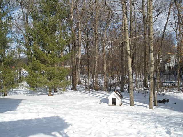 2nd image of 4370 Alderwood Dr