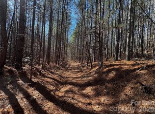 0 Painters Gap Rd, Union Mills, NC 28167