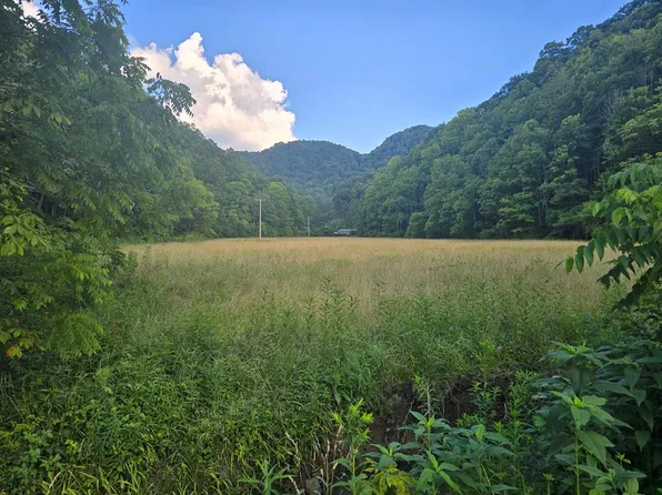 Lickbranch Rd, North Tazewell, VA 24630