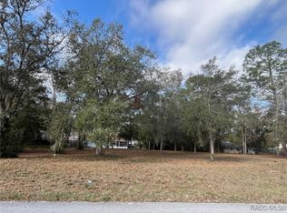 729 Drake Ave, Inverness, FL 34452