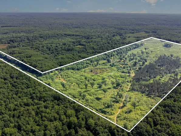 Meredith Grade Rd, Harrison, MI 48625