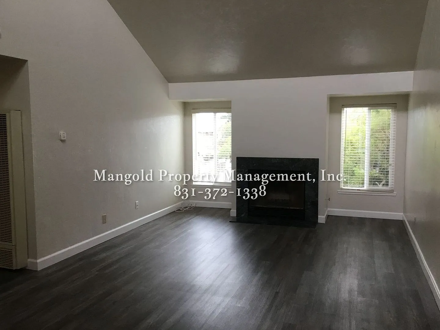 245hill — Photo 4