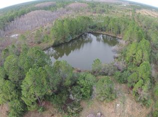 10061 Blackberry Rd, Mims, FL 32754