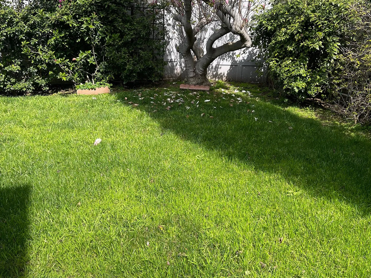 10917 Ayres Avenue — Photo 3