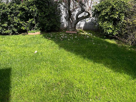 3rd image of 10917 Ayres Ave