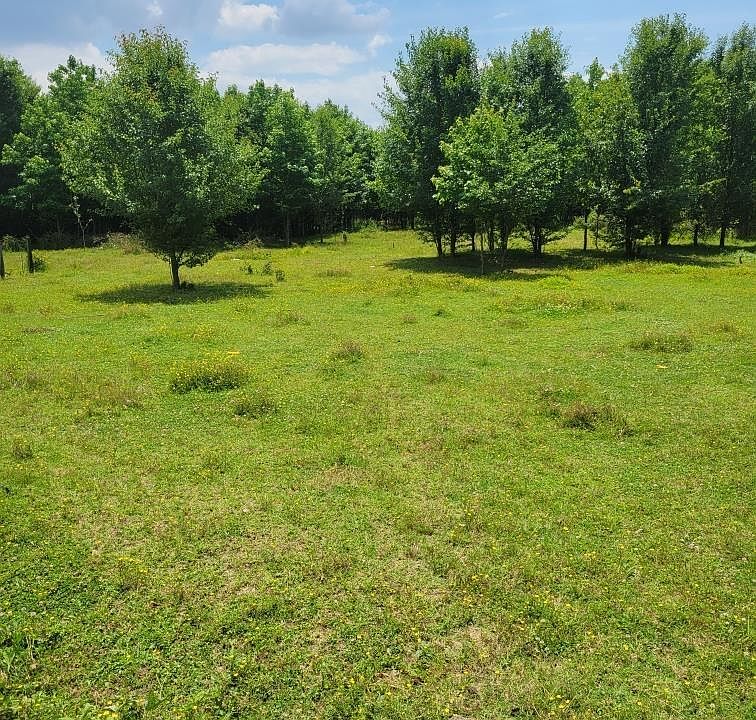 2nd image of 6984 Mount Tabor Rd