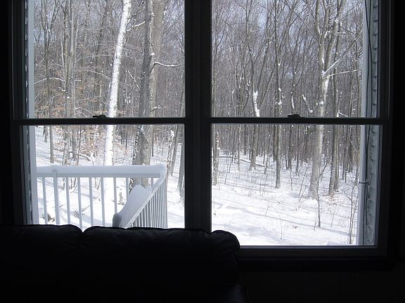 View from Living Room