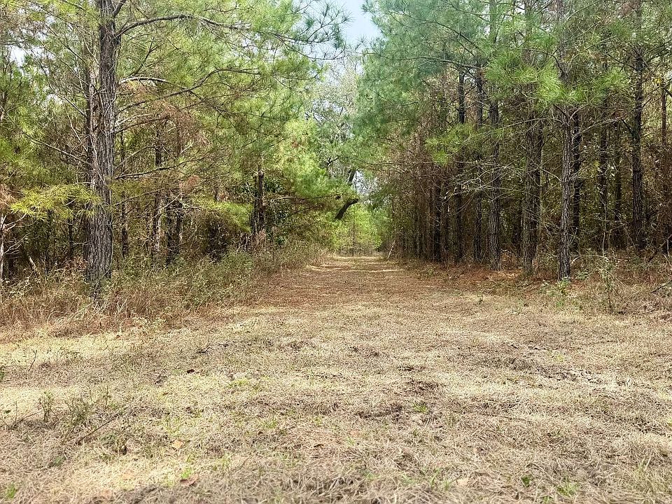 1st image of Tbd Ne Duval Pond Rd