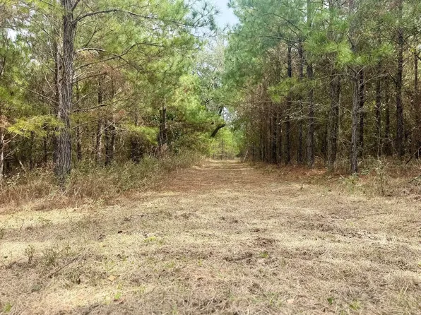 Tbd Ne Duval Pond Rd, Madison, FL 32340