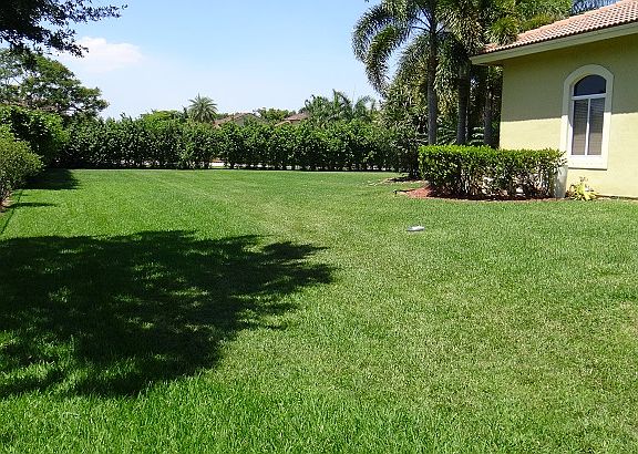 4th image of 11401 NW 18th St