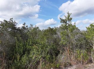 0 Blue Moon Trl, Saint Cloud, FL 34773