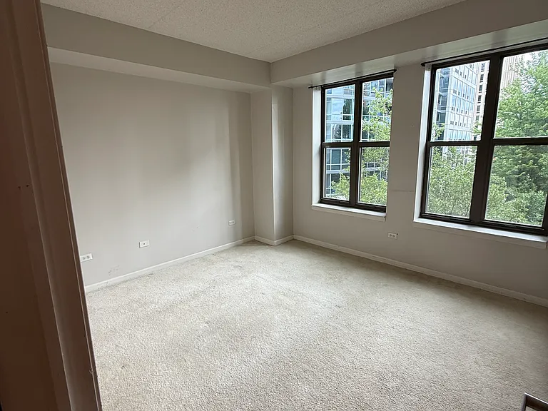 1250 S Indiana Ave #1013 — Photo 6