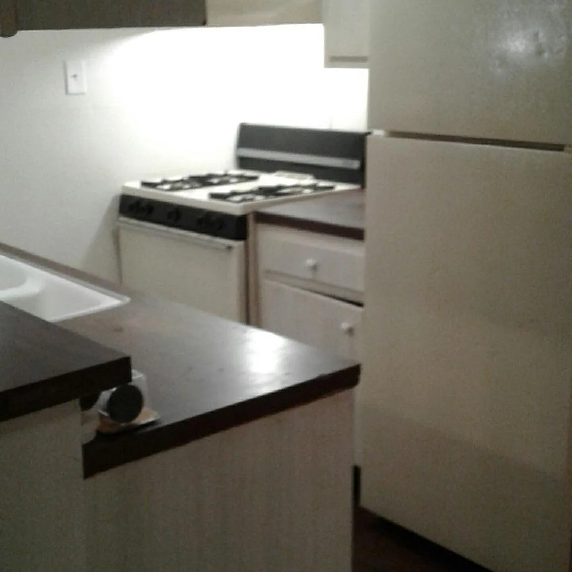 1 bed, 530 sqft, $800 — Photo 4