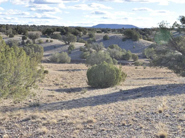 Lot690&691 691 Cr Old Hunt Road Rwm #5270, Concho, AZ 85924