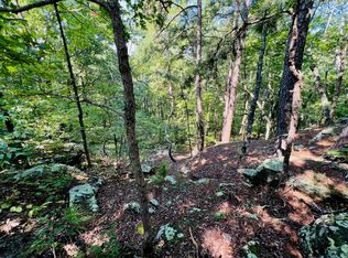 0 Boiling Springs, Licking, MO 65542