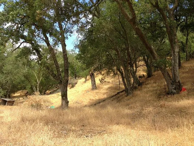 10950 Watsonville Rd photo 1