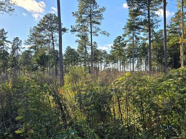 LOT 4 Christanna Hwy, Lawrenceville, VA 23868