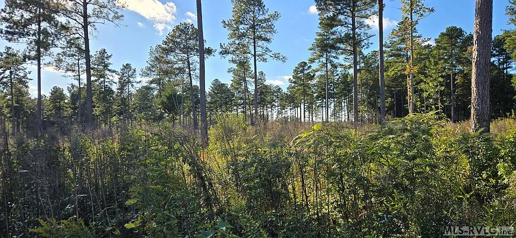 LOT 4 Christanna Hwy photo 1
