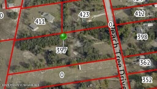 2nd image of 397 Peach Tree Dr