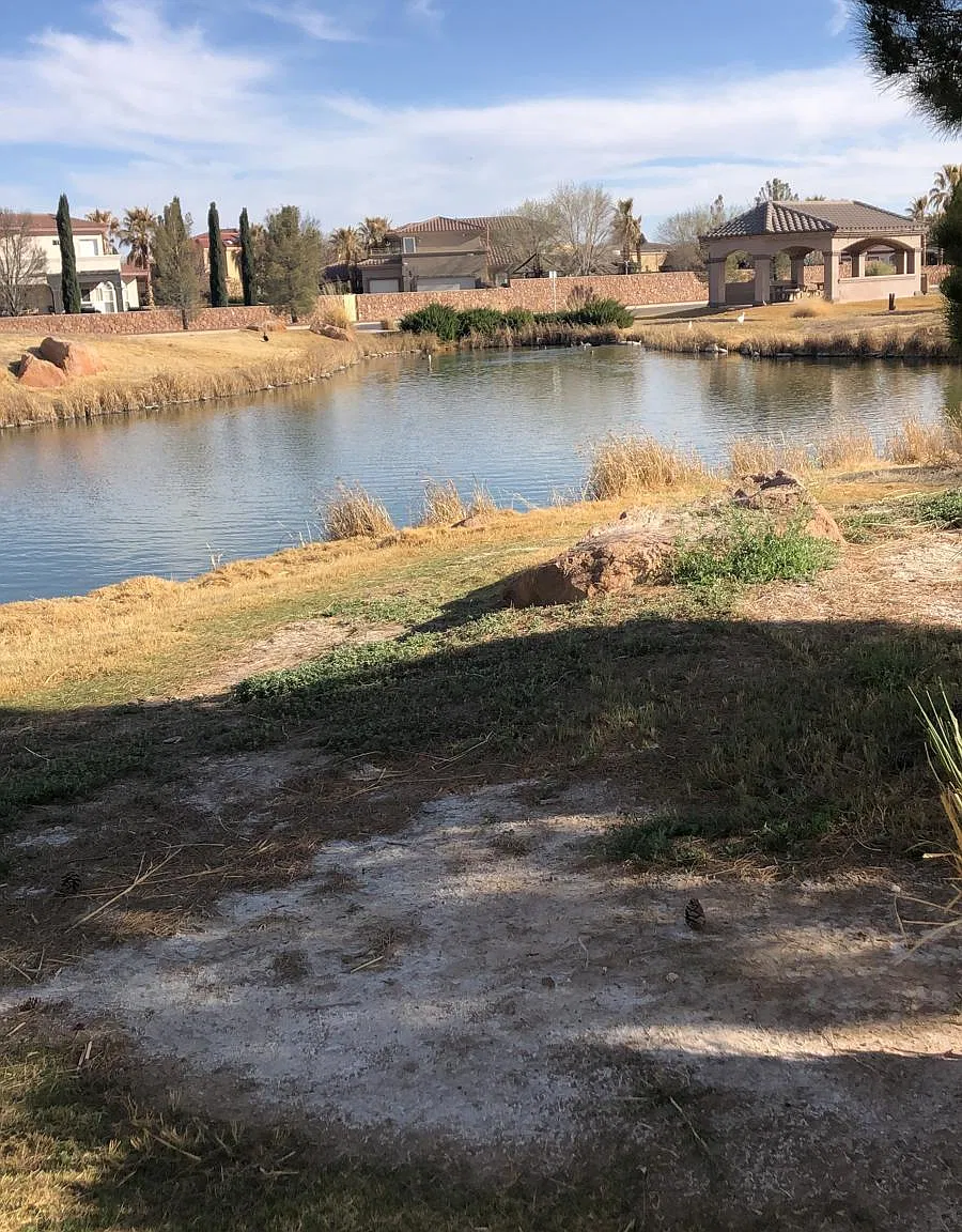 720 Al Smith Ln — Photo 3