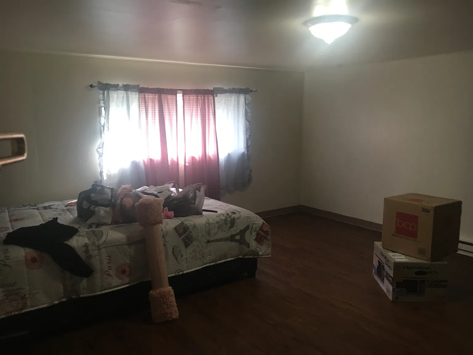 Studio, 250 sqft, $1,005 — Photo 4
