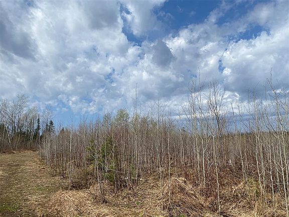 4th image of Near Wilson Lake Road
