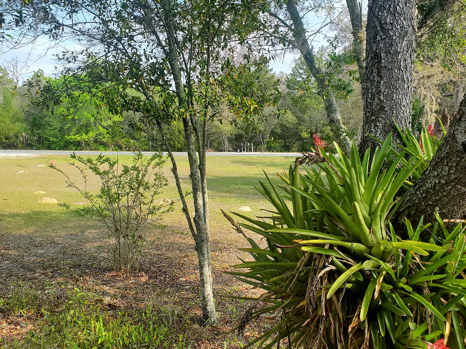 1 bed, 530 sqft, $1,200 — Photo 2