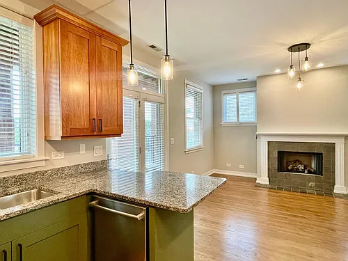 4051 N Damen Ave #3 Photo 1