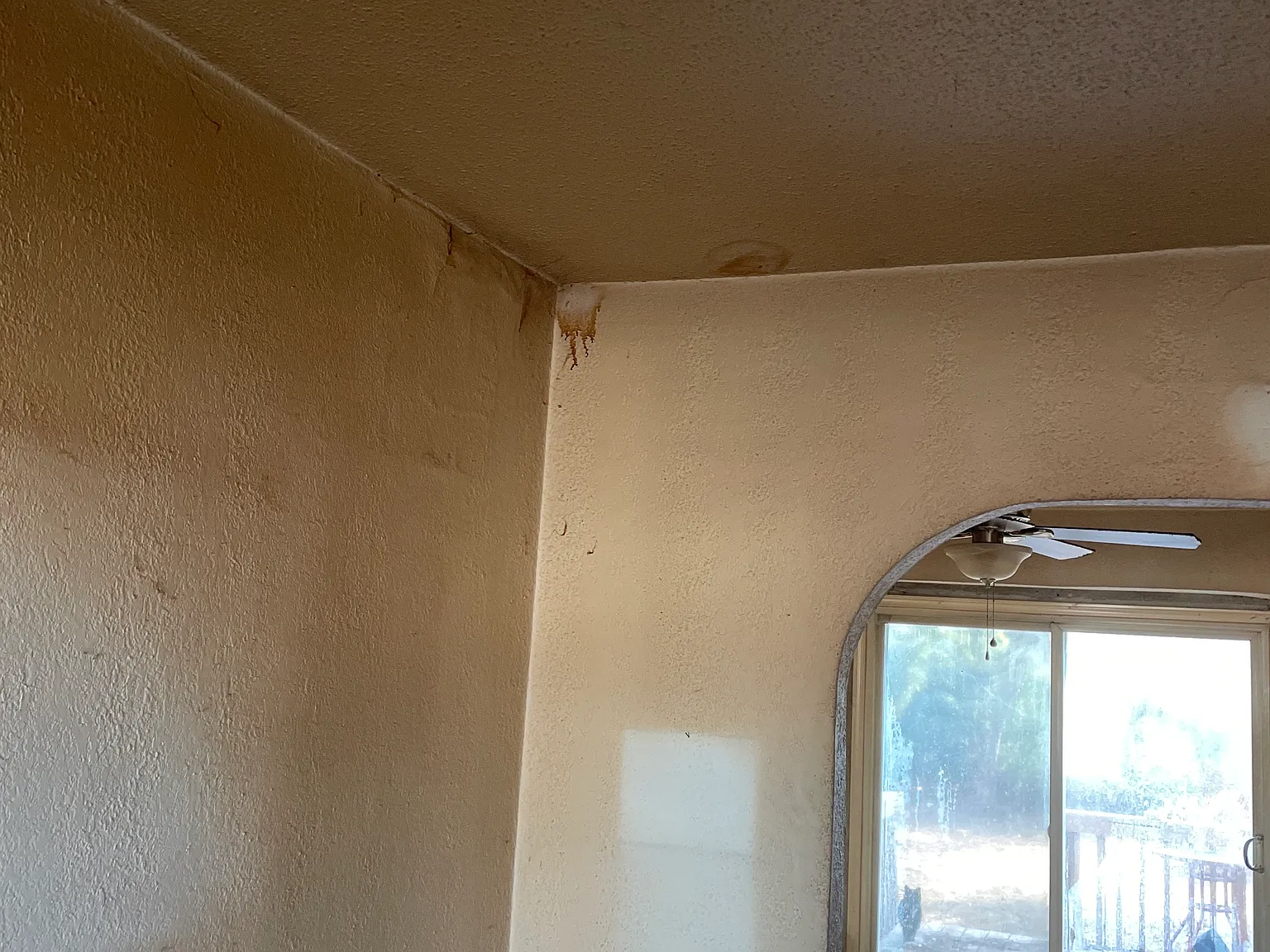 2 bed, 777 sqft, $950 — Photo 2