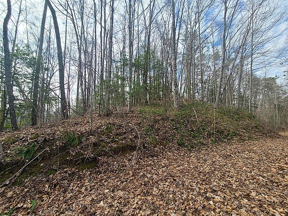 2nd image of N/a Thomas Valley