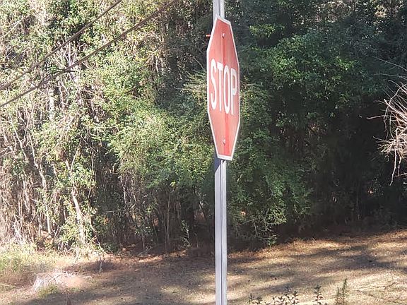 5th image of Lakewood Dr